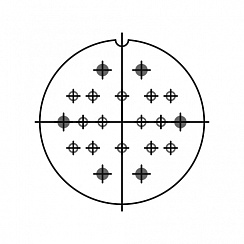 Розетка ШР48ПК20ЭГ1